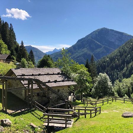 Ronchet Baita Vanoi Trentino Ronco-Chiesa Ngoại thất bức ảnh